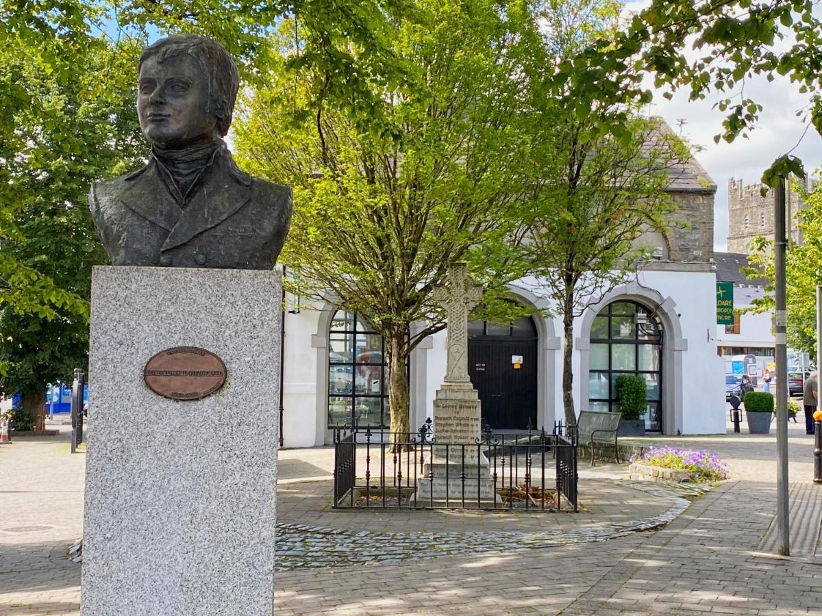 Silken Thomas Accommodation Kildare Exterior foto