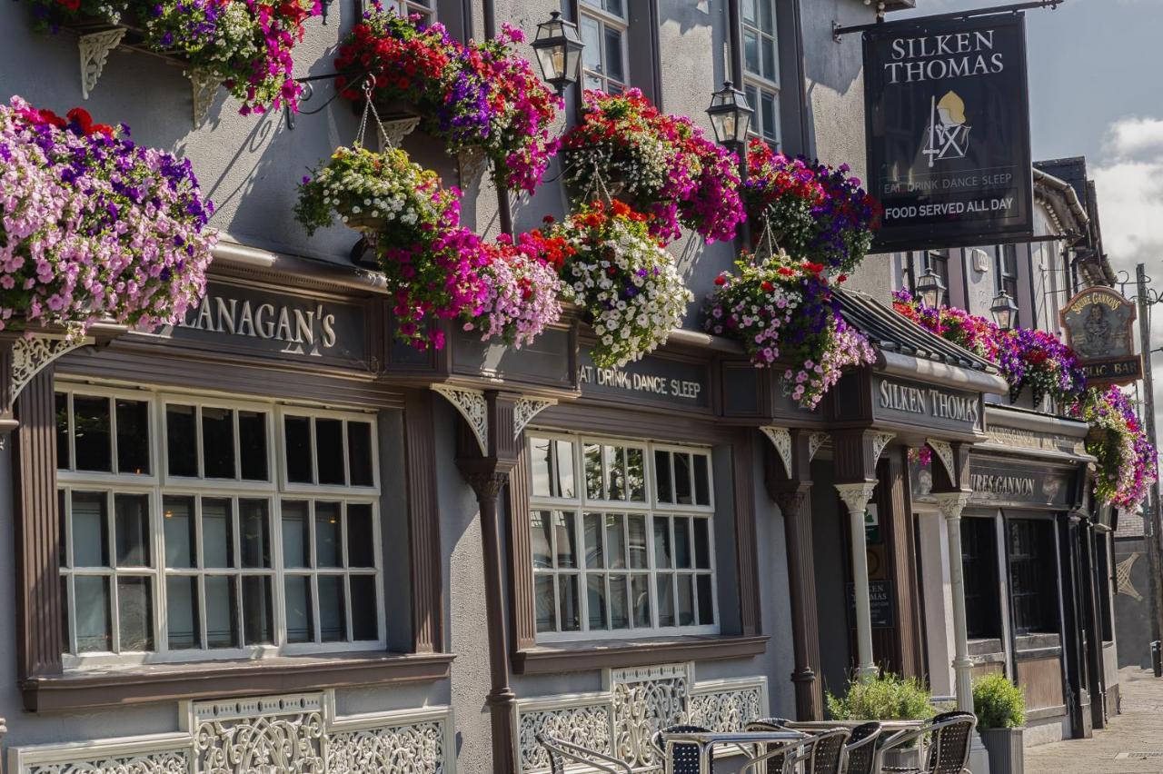 Silken Thomas Accommodation Kildare Exterior foto
